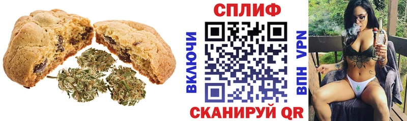 мориарти телеграм  Рыбинск  Canna-Cookies конопля 