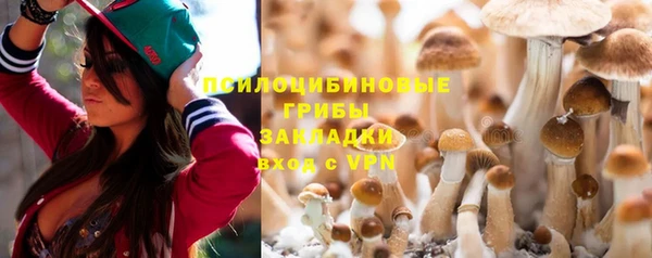 твердый Волоколамск