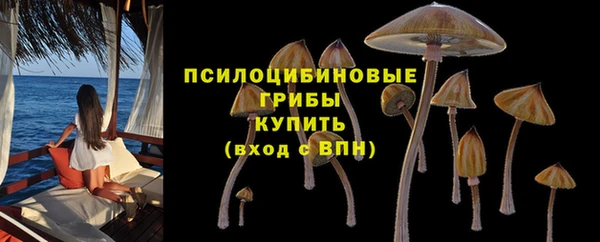 твердый Волоколамск