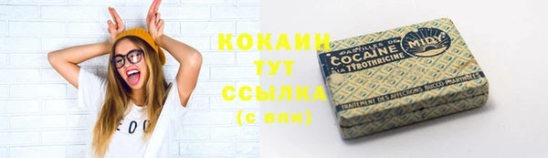 индика Володарск