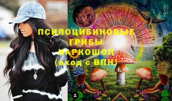 индика Володарск