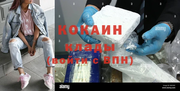 индика Володарск
