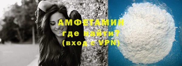 индика Володарск