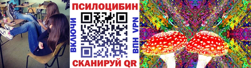 хочу   Рыбинск  Галлюциногенные грибы прущие грибы 